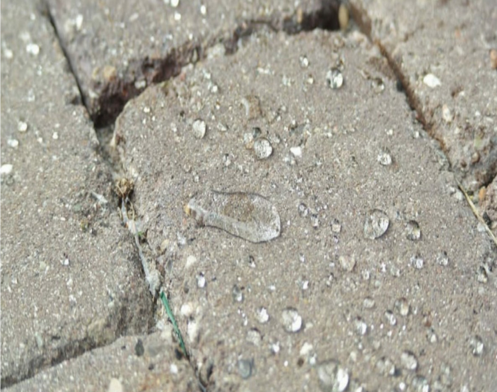 imgonline com ua Resize a3E6v2sfWSi